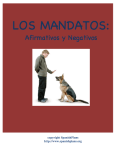 Mandatos Informales