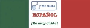 Me gusta español. Es muy chido! Bookmark
