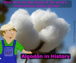 algodon in history