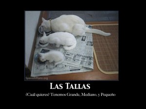 Pequeño Mediano Grande