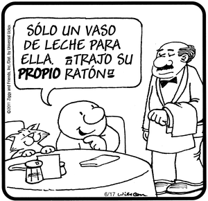 Gato en un restaurante