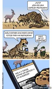 tomar fotos de la comida