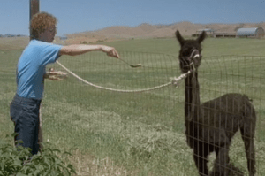 Tienes que comer Tina