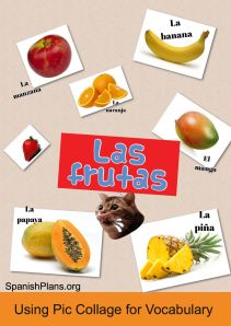 App for Vocabulary Images