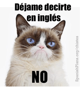 Spanish Grumpy Cat