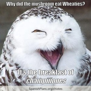 Breakfast of Champinones Chiste from SpanishPlans.org