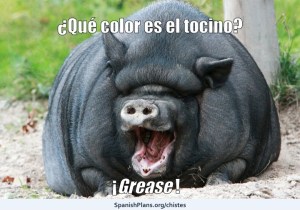 Gris Grease Joke Chiste from SpanishPlans.org