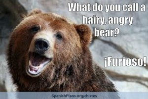 Oso Furioso Chiste from SpanishPlans.org