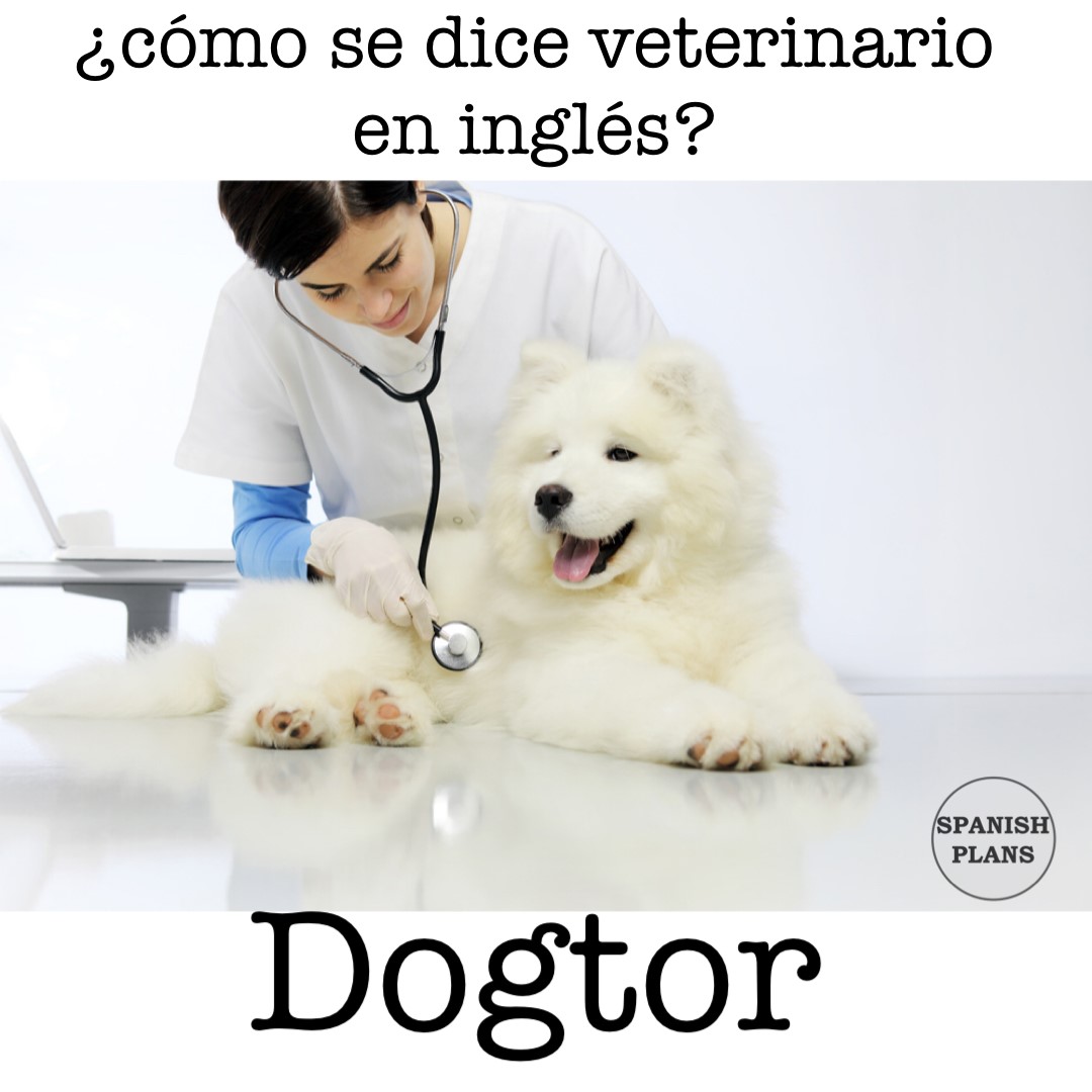 dogtor